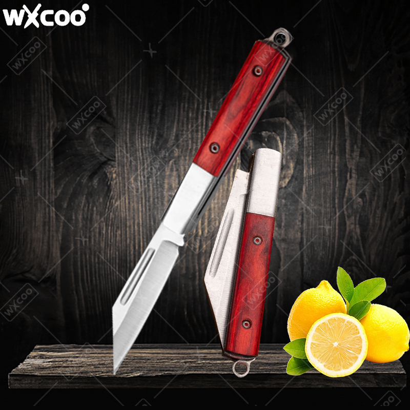 Stainless Steel Pocket Knife R - Kitchen Gadgets China 评论和价格