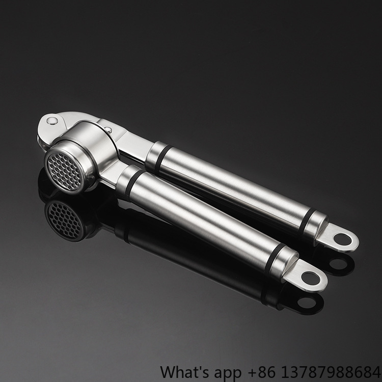 304 Stainless Steel Garlic Pre - Manual Garlic Press 评论和价格